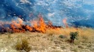 یک هکتار از اراضی «هرانده» فیروزکوه در آتش سوخت