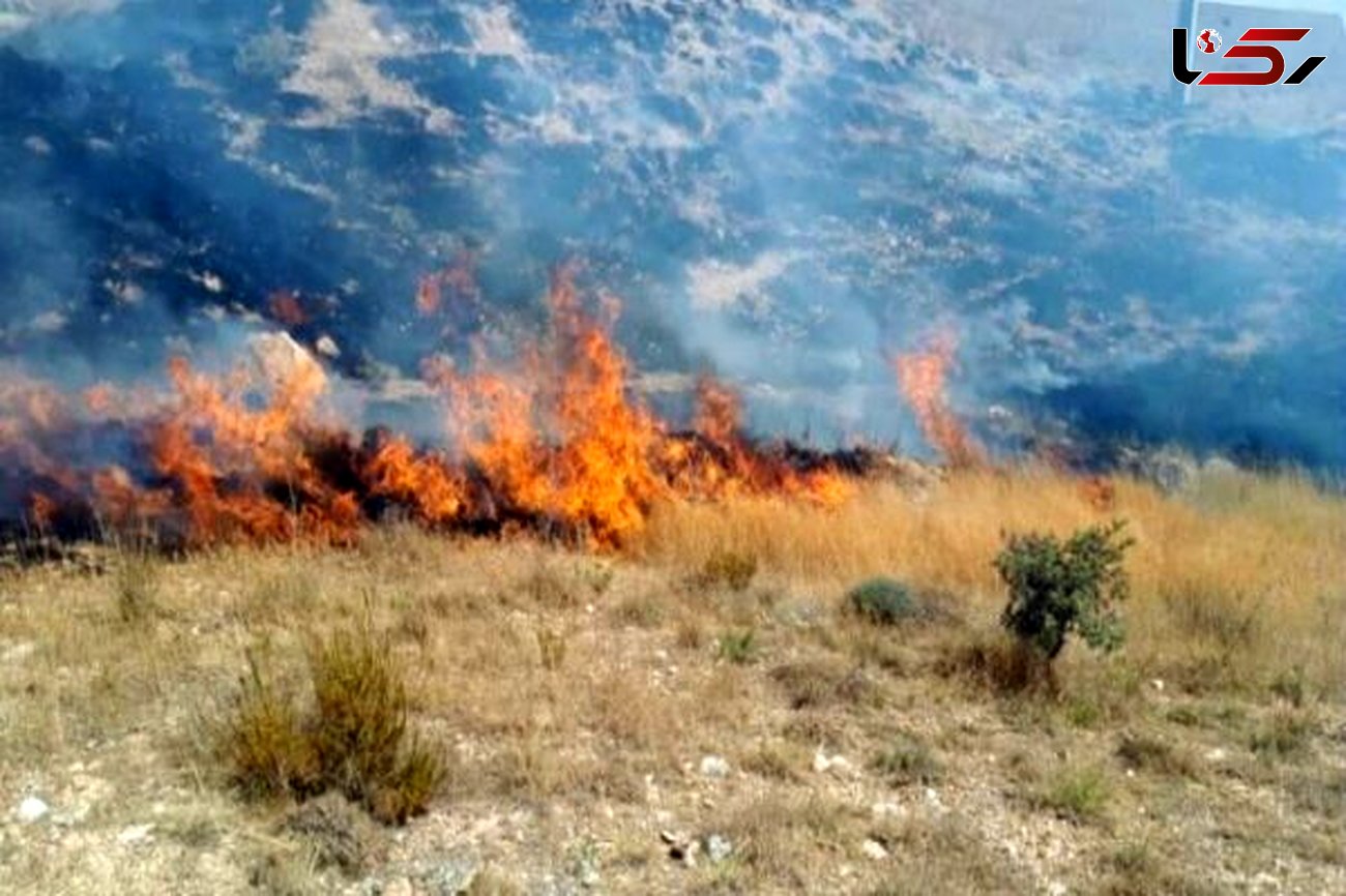 یک هکتار از اراضی «هرانده» فیروزکوه در آتش سوخت