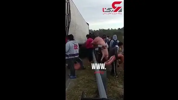 دزدی شهروندان گرسنه آرژانتینی از کامیون چپ شده گوشت در اتوبان+فیلم