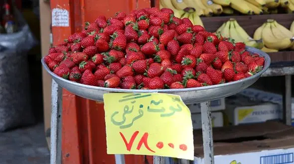 سرقت از باغات و میوه های نوبرانه زیاد شده است/از کنار جاده میوه نخرید