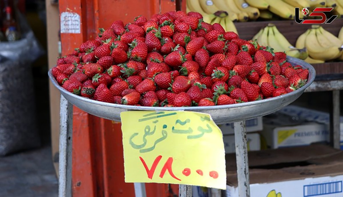 سرقت از باغات و میوه های نوبرانه زیاد شده است/از کنار جاده میوه نخرید