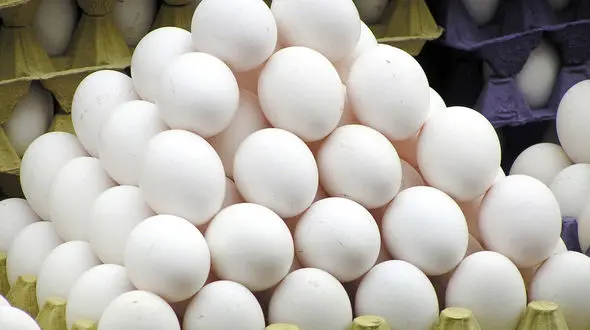 قیمت تخم مرغ امروز دوشنبه 12 آبان 99 + جدول