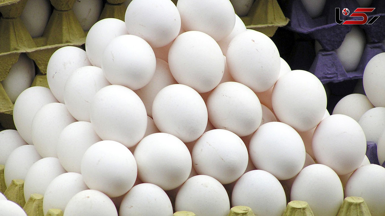 جزئیاتی از صادرات موقتی تخم مرغ