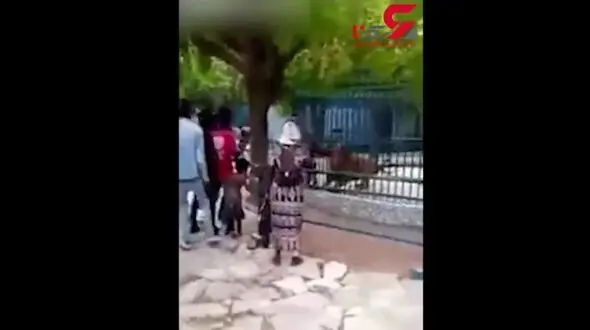 فیلم لحظه هولناک حمله شیر به گردشگر + فیلم