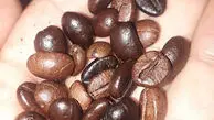 خبر خوب برای عاشقان قهوه؛ کاهش خطر سیروز و سرطان کبد