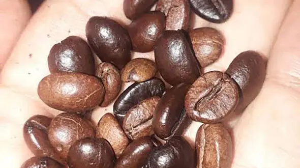 خبر خوب برای عاشقان قهوه؛ کاهش خطر سیروز و سرطان کبد