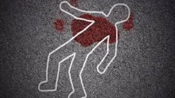 زن آرایشگر در آمل قربانی یک جنایت شد