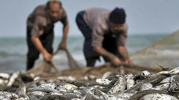 این فیلم تکان دهنده  متعلق به ایران است؟! / حتما ببینید!