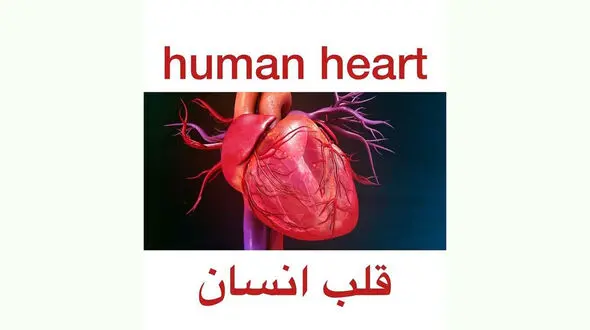 در قلب ما چه می گذرد؟ + فیلم 