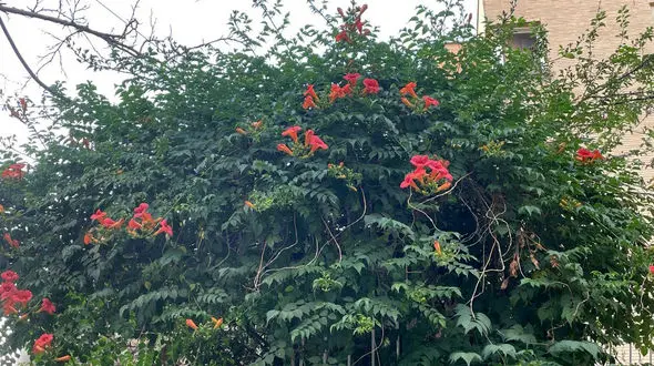 فال ابجد امروز / 8 خرداد + فیلم