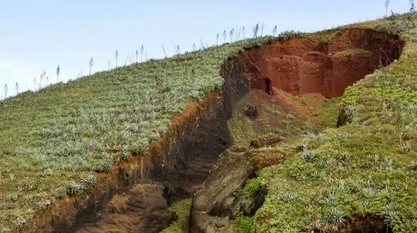 سالانه 10 تن در هر هکتار خاک ایران فرسوده می شود/ توسعه نامتوازن و منافع تجاری دولت ها، خاک کشور را به نابودی کشاند 
