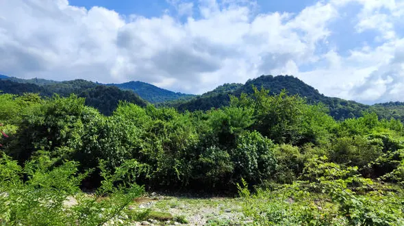 افزایش گشت های حفاظتی؛ امنیت بیشتر برای جنگل ها در نوروز