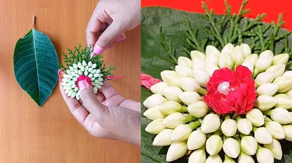 تزئین گیاهی + فیلم