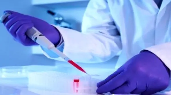 امکان ترمیم عضو قطع شده پستانداران محقق شد