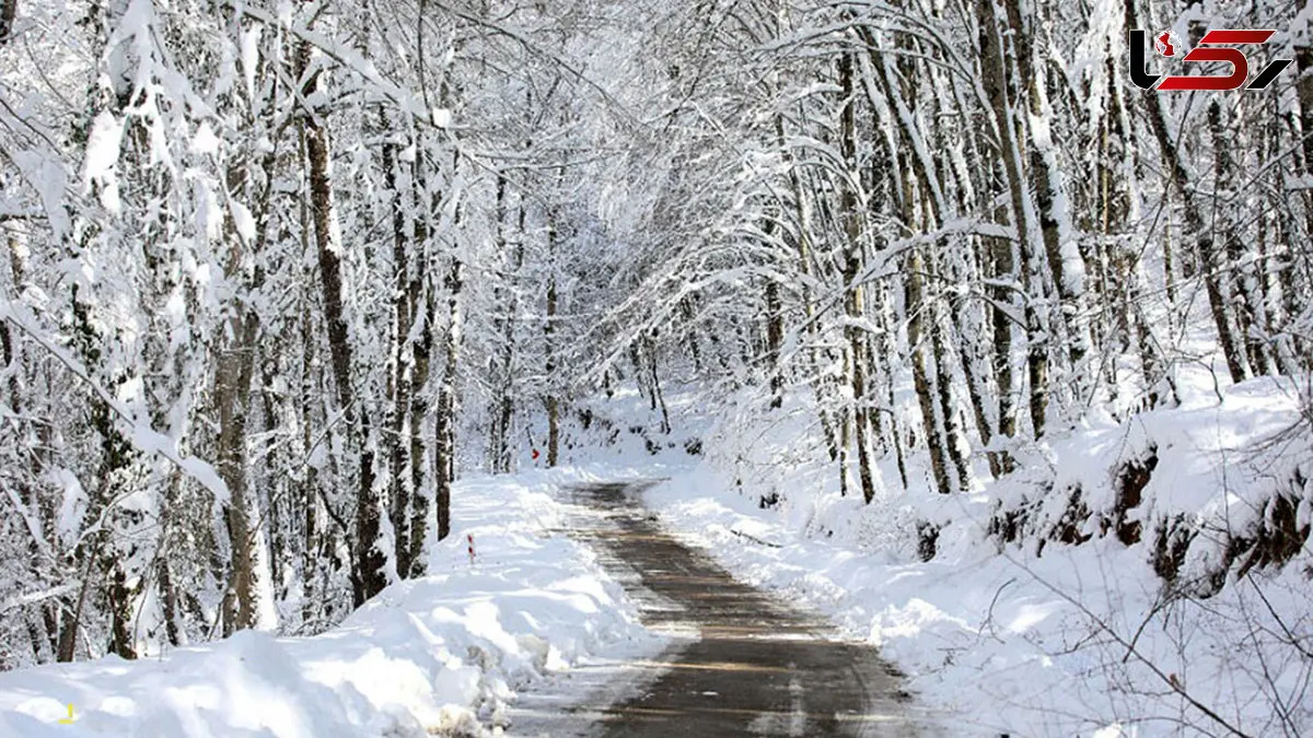 سفیدپوشان شمال؛ افسانه جنگل‌های برفی ایران + فیلم