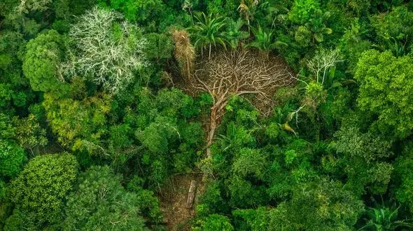 کرونا نتیجه چهارمین جنایت رایج در جهان / حواسمان نباشد 50 درصد محصولات دارویی نایاب می شوند