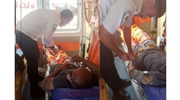 حمله خرس به مرد 51 ساله در زرانگوش