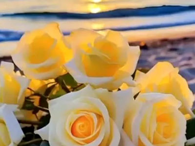 فال و طالع بینی روزانه 13 تیر 