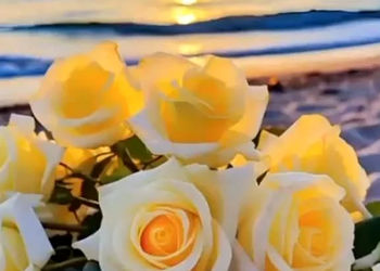 فال و طالع بینی روزانه 13 تیر 