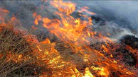 آتش‌ بخشی از جنگل‌های جنوب پلدختر را فراگرفت