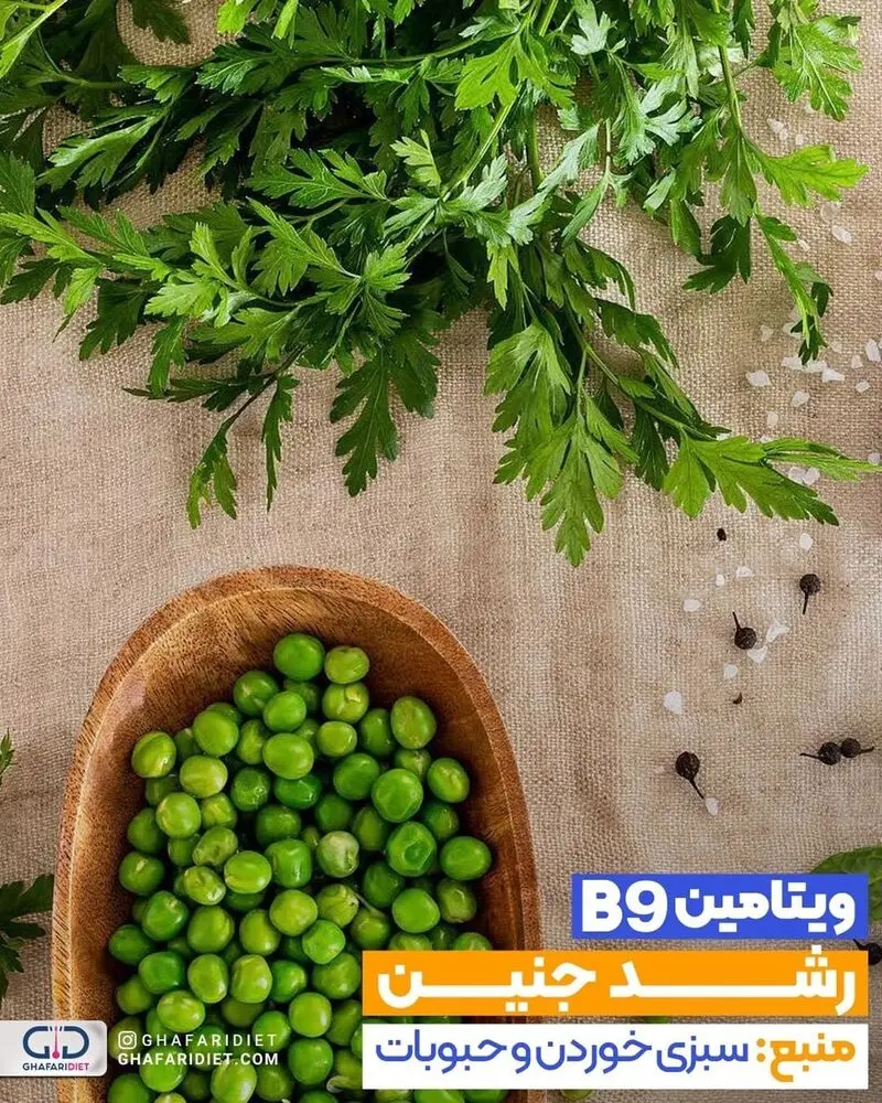 منبع ویتامین ب9
