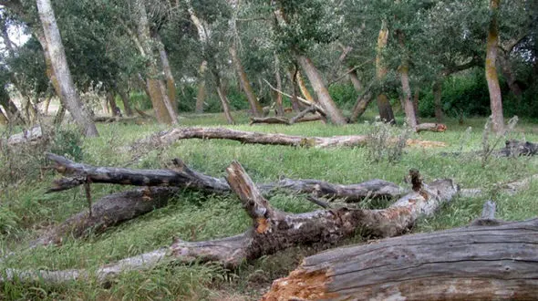 2 زن به زور مرا با خود به خانه شان بردند و با من کارهای وقیحانه انجام دادند