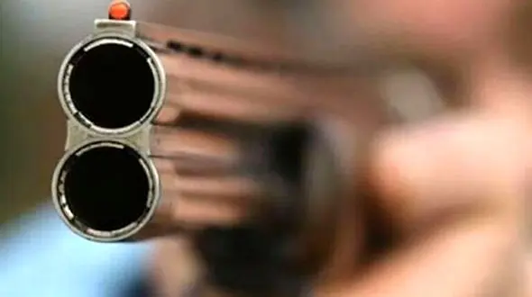 عموی داماد خواننده گروه موسیقی را کشت / جشن عروسی رنگ خون گرفت