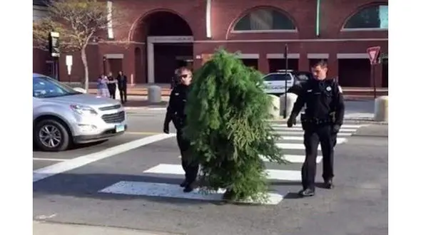 «مرد درختی» دستگیر شد +عکس