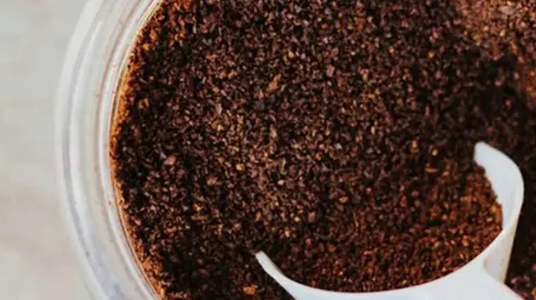 از کاربردهای شگفت‌انگیز تفاله قهوه تا مداد تراش ها حدود ۱۰۰ سال پیش 