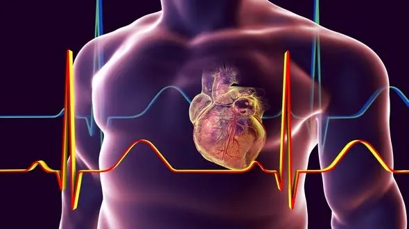 3 عامل تهدید کننده سلامت قلب را بشناسید