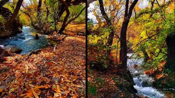 نهاوند، سراب گیان از مهم‌ترین تفرجگاه‌های طبیعی در محدوده منابع آبی + فیلم 