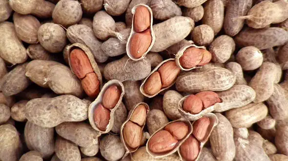 خواص بادام زمینی را بشناسیم