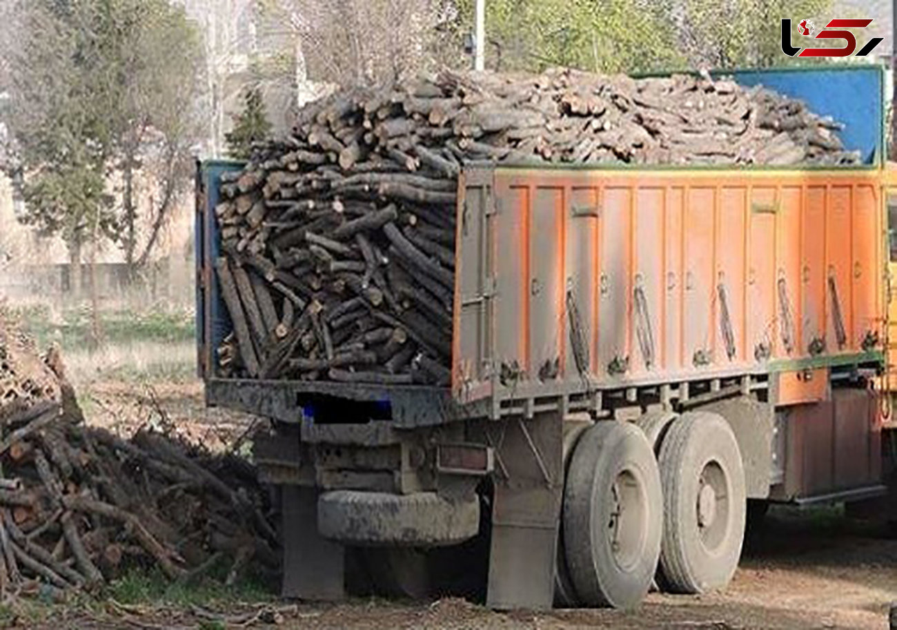 توقیف 3 محموله قاچاق چوب در یاسوج