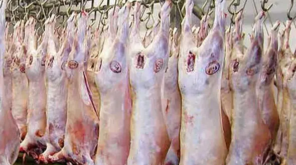 گوشت گوسفند گران شد