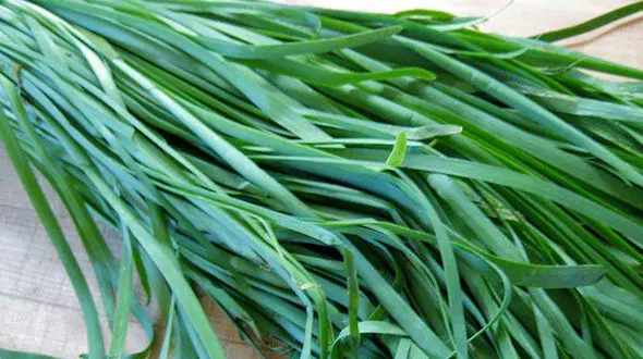 آیا تره، قند بالایی دارد و برای بیماران دیابتی مناسب نیست؟