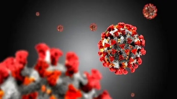 درمان کرونای انگلیسی و کووید19 چه تفاوتی با هم دارد؟