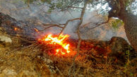 مهار آتش سوزی در روستای ده سوخته شهرستان لردگان