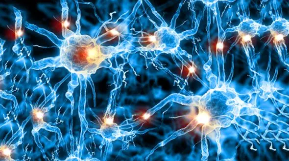 احساسات ما تابع هورمون ها است