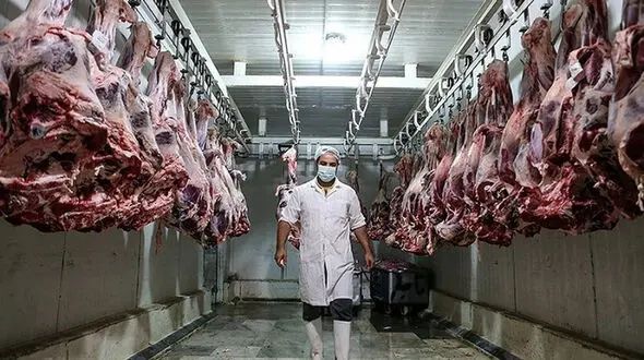 شوک به بازار گوشت قرمز