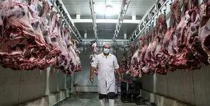 شوک به بازار گوشت قرمز