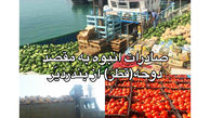 میوه‌های ایرانی به قطر رسید