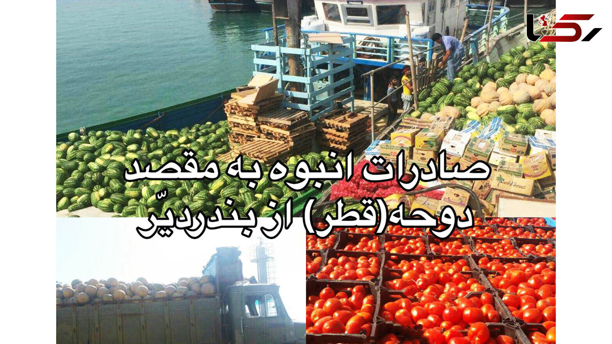 میوه‌های ایرانی به قطر رسید