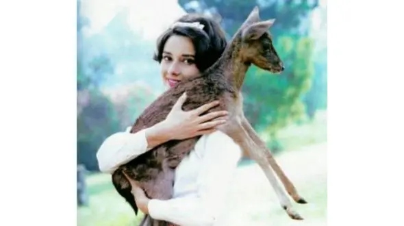 زندگی عجیب سوپر استار زن با یک حیوان زیبا+عکس