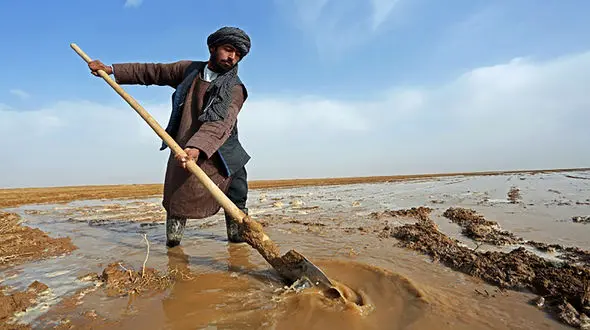 ایران کارخانه تولید نیروی انسانی ماهر برای کشورهای دیگر! / کارگر مهاجر را هم به استادکار تبدیل و صادر می کنیم