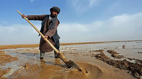ایران کارخانه تولید نیروی انسانی ماهر برای کشورهای دیگر! / کارگر مهاجر را هم به استادکار تبدیل و صادر می کنیم