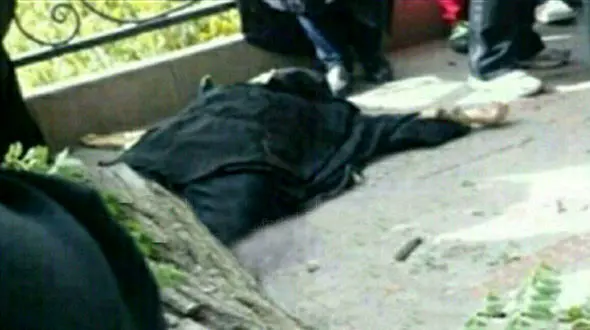 نفرین مرگبار درختی در ماسال دامان‌گیر مرد نگون‌بخت شد+ عکس