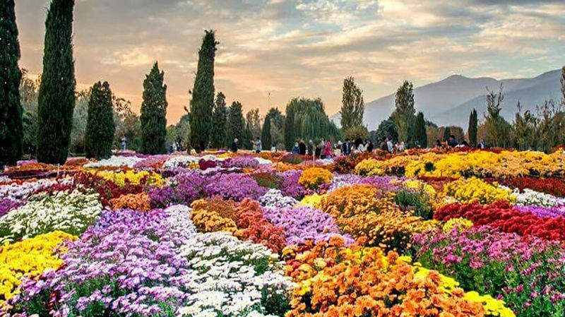 باغ گیاه شناسی ملی ایران