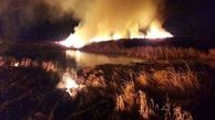 گردشگران پارک ملی بوجاق را آتش زدند / 2 هکتار از اراضی طبیعی سوخت