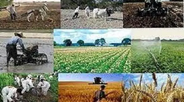 دمیده شدن نفس تازه به کشاورزی با راه اندازی پایانه های صادراتی برنج، مرکبات و شیلات