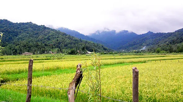 گشت و گذار در روستای شولم + فیلم